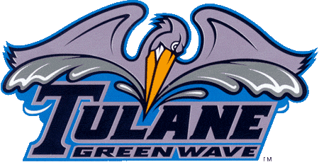 Tulane Green Wave 1998-Pres Alternate Logo v2 diy iron on heat transfer